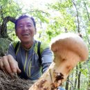 상대마을(향기마을) 이미지