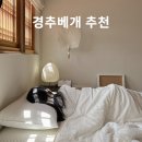 한베메디칼 | 경추베개 추천 수면의 질을 바꿔준 닥터파베 프리미엄 베개 찐 후기