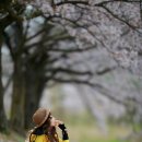 향기4로,향기5로 이미지