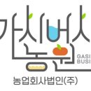사과랑 고추랑 이미지