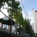 김경자 헤어아트