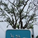 카페꽃다원 이미지