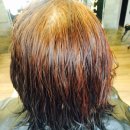 오렌지 카 크리닉 이미지