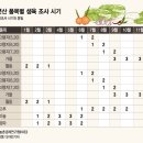 피말등 머니투데이