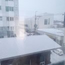 꼬꼬치 | [2026.02.01~02.08] 기록