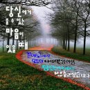 솔하루
