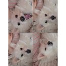 하얀빨래센터 | [2026-3일상] 우린 모두 다르니까 저마다의 속도로 인생은 여행처럼 고독은 내친구(feat.승진)