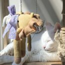 라임동물병원 이미지