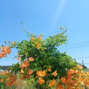 세븐일레븐 외동점 이미지