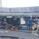 현정활어