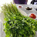 승우농원 이미지