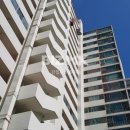 장미연립 나동 이미지