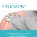 동유 티스토리