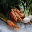 준혁농장 이미지