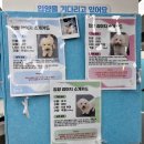 멍타쿠 이미지