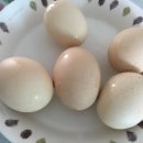 김제아리랑농원 이미지