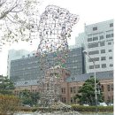 형상은 본질을 기억 이미지