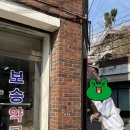 보승약국 이미지