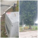 보촌농장 이미지