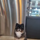 오도독뽀도독 이미지