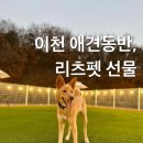 리츠펫 선물 이미지