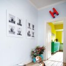 개밥그릇 이미지