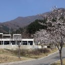 오버더마운틴 이미지