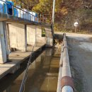 산동상사