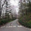 너릿재구도로 이미지