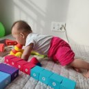 멍멍아 여기어때 이미지