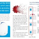 템푸스 - 제주시 | 템푸스