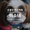 응암애견 이미지