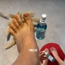 아들은 엄마의 나이를 모른다 | 신발 발냄새제거 발관리 40대 엄마와 청소년 아들 벨카 쿨링풋미스트 만족도 높은 사용 후기