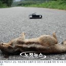 군도16호 이미지