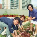 신수동 주민센터 이미지