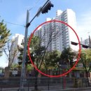 꽃뫼버들마을금강(아) 이미지