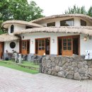 제주도화 이미지