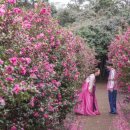 제주허브동산 이미지