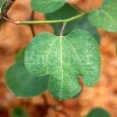 을지초등학교 이미지