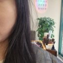 세븐일레븐 의정부시청광장점 | 의정부미용실 추천 의정부동네미용실 | 매직20년차 반곱슬인의 물광매직 솔직후기