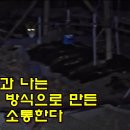 나와고양이 이미지