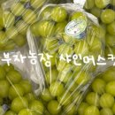 부자농장 이미지