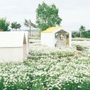 오늘 여기 이미지