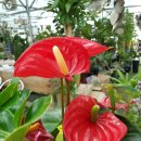 오천당구장 이미지