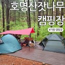 호명산캠프 | 캠린이의 호명산잣나무캠핑장 후기 매점 주차 샤워
