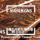 브라이트 GNS 네이버블로그