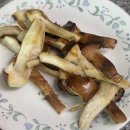 황룡농장 | 황룡참송이 참송이버섯 건강식 부모님 선물로 딱!