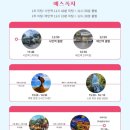 🇹🇼 "대만 예스폭지 버스투어" 착한투어 이용 후기 (대만여행3일차)