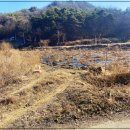 민가농장 이미지