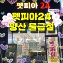 펫피아24 네이버블로그